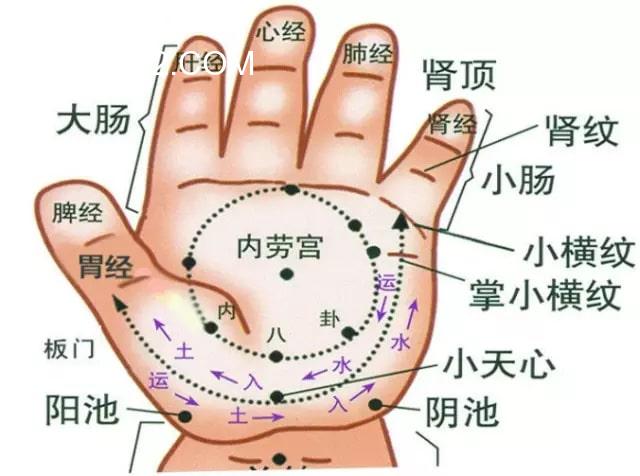 小儿推拿发烧退热手法图