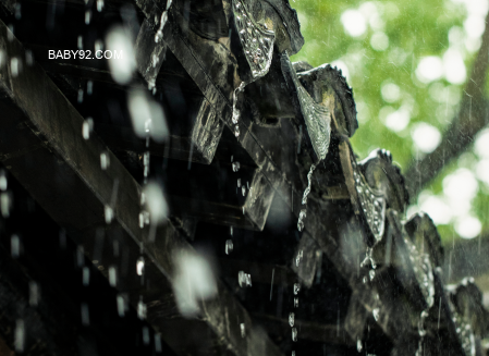 袋袋熊的果冻雨靴